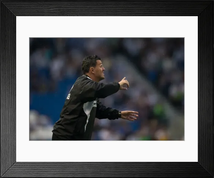 Framed Print : Brighton & Hove Albion vs Villarreal: Pre-Season Friendly (2013-14) Framed Print : Brighton & Hove Albion vs Villarreal: Pre-Season Friendly (2013-14)