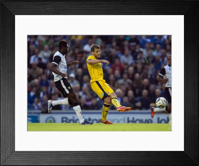 Framed Print : Brighton & Hove Albion vs Norwich City: Kickoff to the 2013-14 Season - Pre-season Match (July 30, 2013) Framed Print : Brighton & Hove Albion vs Norwich City: Kickoff to the 2013-14 Season - Pre-season Match (July 30, 2013)