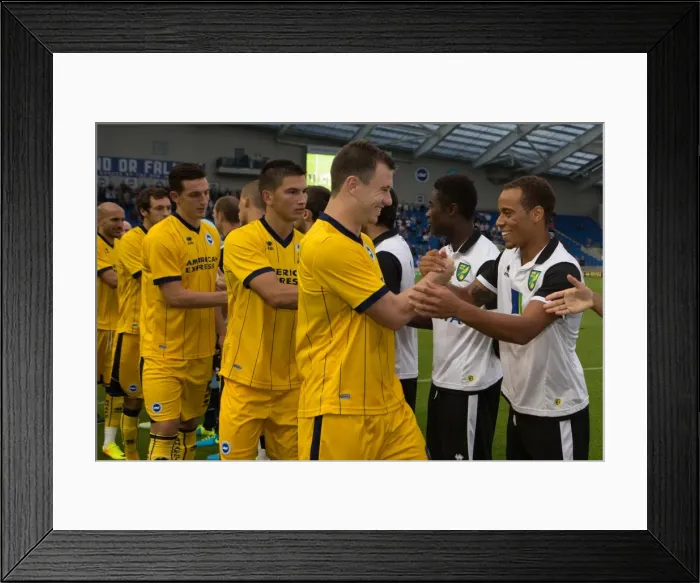 Framed Print : Brighton & Hove Albion vs Norwich City: 2013 Pre-Season Clash - Brighton's 2013-14 Campaign Kickoff Framed Print : Brighton & Hove Albion vs Norwich City: 2013 Pre-Season Clash - Brighton's 2013-14 Campaign Kickoff