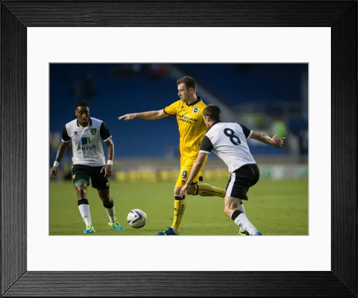 Framed Print : Brighton & Hove Albion vs Norwich City: Kickstarting the 2013-14 Season - Pre-Season Clash Framed Print : Brighton & Hove Albion vs Norwich City: Kickstarting the 2013-14 Season - Pre-Season Clash