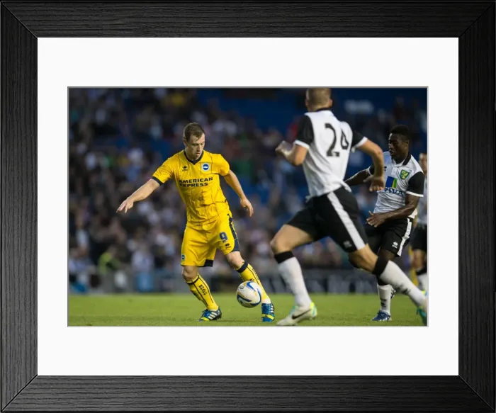 Framed Print : Brighton & Hove Albion vs Norwich City: 2013 Pre-Season Clash Framed Print : Brighton & Hove Albion vs Norwich City: 2013 Pre-Season Clash