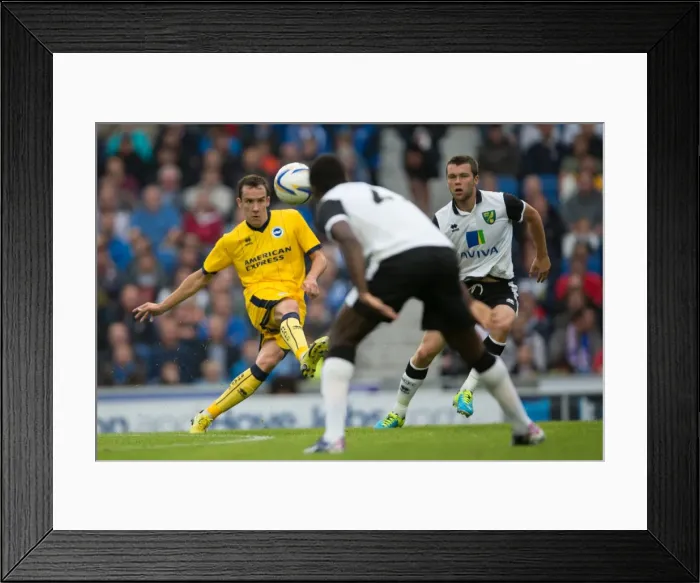 Framed Print : Brighton & Hove Albion vs Norwich City: 2013 Pre-Season Clash - Kickoff to the 2013-14 Campaign Framed Print : Brighton & Hove Albion vs Norwich City: 2013 Pre-Season Clash - Kickoff to the 2013-14 Campaign