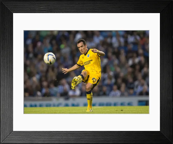 Framed Print : Brighton & Hove Albion vs Norwich City: Kickstarting the 2013-14 Season (July 30, 2013) Framed Print : Brighton & Hove Albion vs Norwich City: Kickstarting the 2013-14 Season (July 30, 2013)