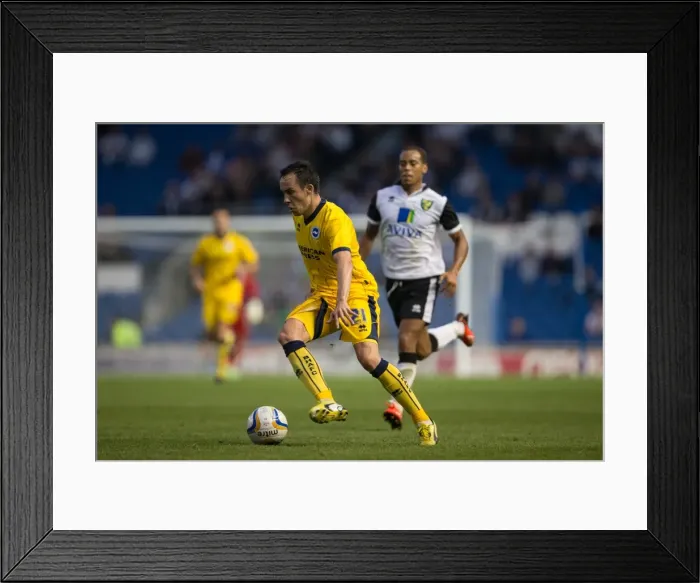 Framed Print : Brighton & Hove Albion vs Norwich City: Kick-Starting the 2013-14 Season