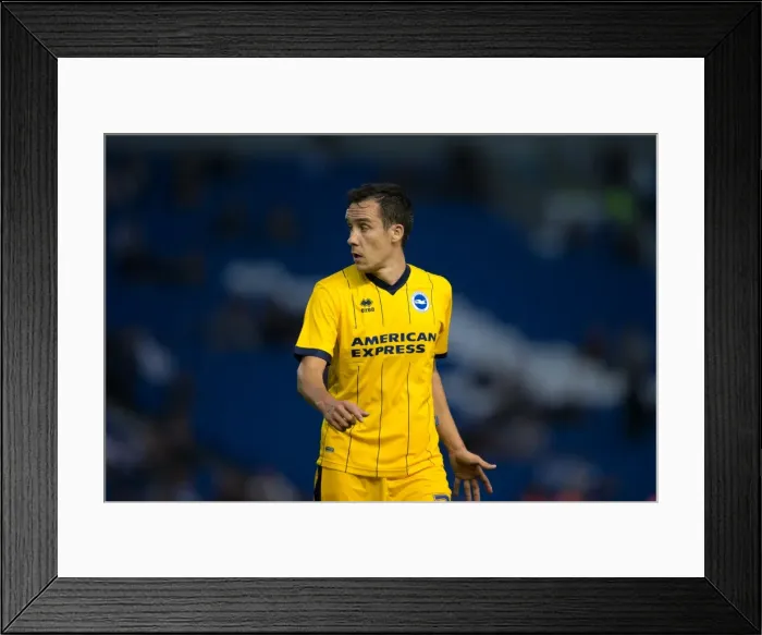 Framed Print : Brighton & Hove Albion vs Norwich City: 2013 Pre-Season Clash - Kickoff to the 2013-14 Campaign Framed Print : Brighton & Hove Albion vs Norwich City: 2013 Pre-Season Clash - Kickoff to the 2013-14 Campaign