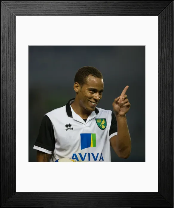 Framed Print : Brighton & Hove Albion vs. Norwich City - 2013-14 Pre-Season Clash Framed Print : Brighton & Hove Albion vs. Norwich City - 2013-14 Pre-Season Clash