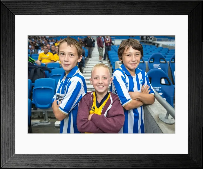 Framed Print : Brighton & Hove Albion vs Norwich City: Kick-Starting the 2013-14 Season Framed Print : Brighton & Hove Albion vs Norwich City: Kick-Starting the 2013-14 Season