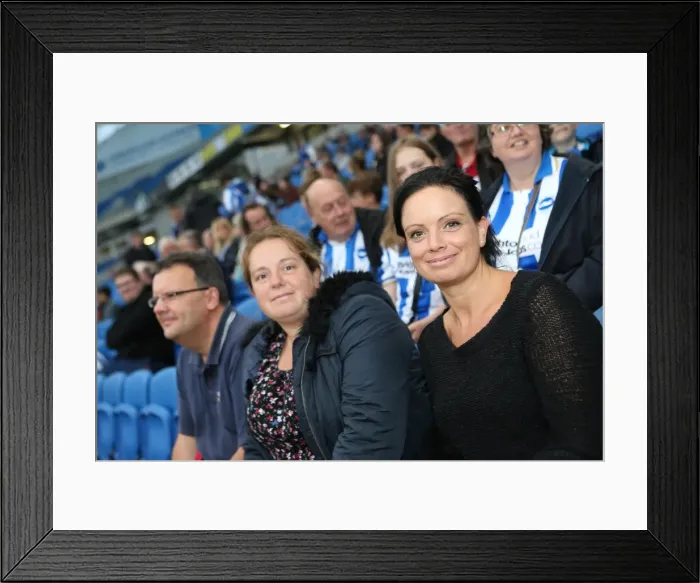 Framed Print : Brighton & Hove Albion vs Norwich City: 2013 Pre-Season Clash - Brighton's 2013-14 Campaign Kickoff Framed Print : Brighton & Hove Albion vs Norwich City: 2013 Pre-Season Clash - Brighton's 2013-14 Campaign Kickoff