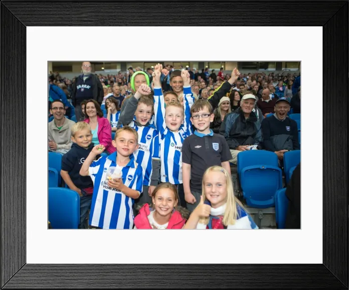 Framed Print : Brighton & Hove Albion vs Norwich City: 2013 Pre-Season Clash - Kickoff to the 2013-14 Campaign Framed Print : Brighton & Hove Albion vs Norwich City: 2013 Pre-Season Clash - Kickoff to the 2013-14 Campaign