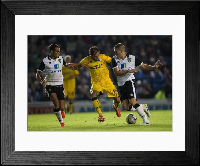Framed Print : Brighton & Hove Albion vs Norwich City: 2013-14 Pre-Season Clash Framed Print : Brighton & Hove Albion vs Norwich City: 2013-14 Pre-Season Clash