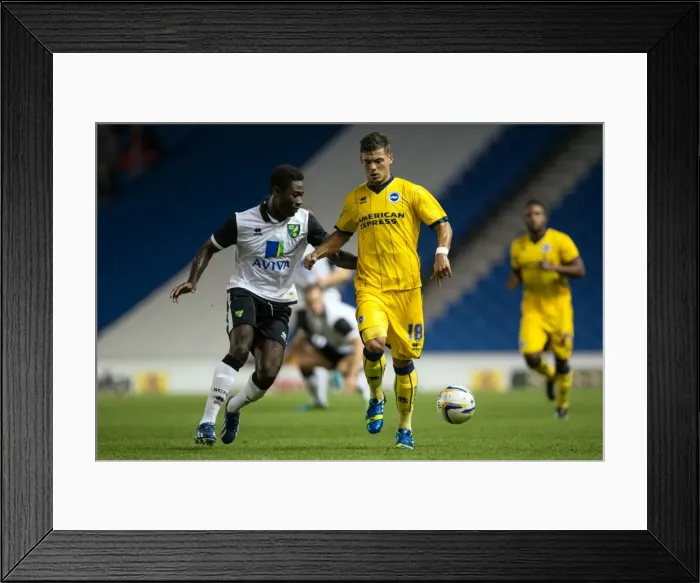 Framed Print : Brighton & Hove Albion vs Norwich City: Kickoff to the 2013-14 Season - Pre-Season Clash