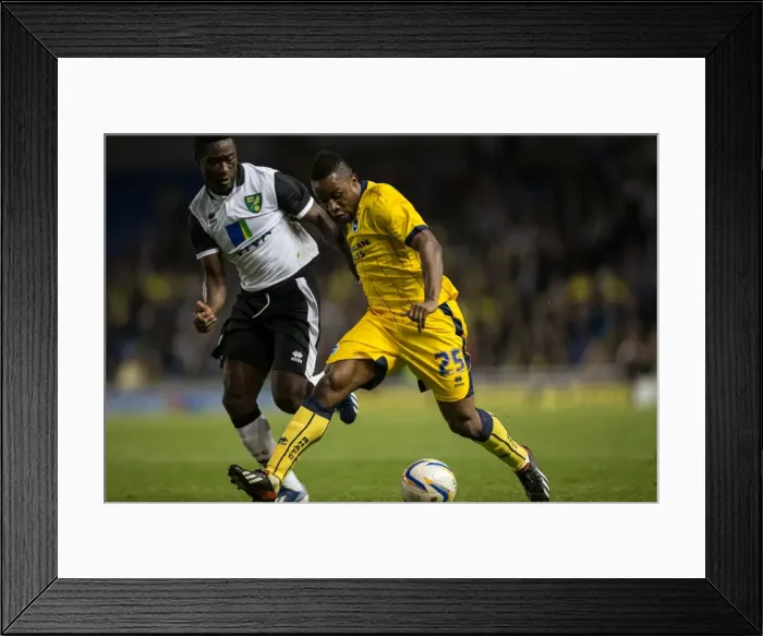 Framed Print : Brighton & Hove Albion vs Norwich City: Kickstarting the 2013-14 Season - Pre-season Clash (30-07-2013) Framed Print : Brighton & Hove Albion vs Norwich City: Kickstarting the 2013-14 Season - Pre-season Clash (30-07-2013)