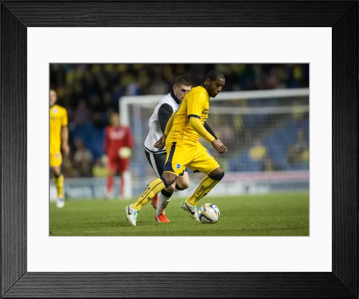 Framed Print : Brighton & Hove Albion vs. Norwich City: 2013-14 Pre-Season Clash Framed Print : Brighton & Hove Albion vs. Norwich City: 2013-14 Pre-Season Clash