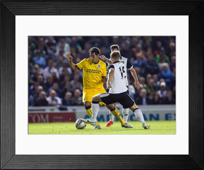 Framed Print : Brighton & Hove Albion vs Norwich City: 2013-14 Pre-Season Clash Framed Print : Brighton & Hove Albion vs Norwich City: 2013-14 Pre-Season Clash