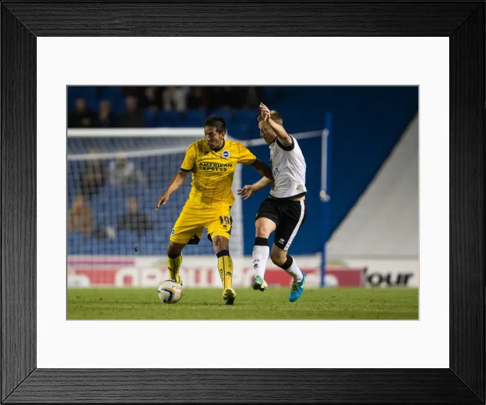 Framed Print : Brighton & Hove Albion vs Norwich City: Kickoff to the 2013-14 Season - Pre-Season Clash Framed Print : Brighton & Hove Albion vs Norwich City: Kickoff to the 2013-14 Season - Pre-Season Clash