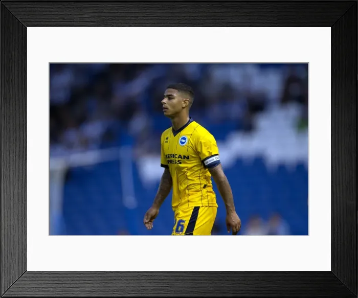 Framed Print : Brighton & Hove Albion vs Norwich City: Kickstarting the 2013-14 Season - Pre-season Clash (30-07-2013) Framed Print : Brighton & Hove Albion vs Norwich City: Kickstarting the 2013-14 Season - Pre-season Clash (30-07-2013)
