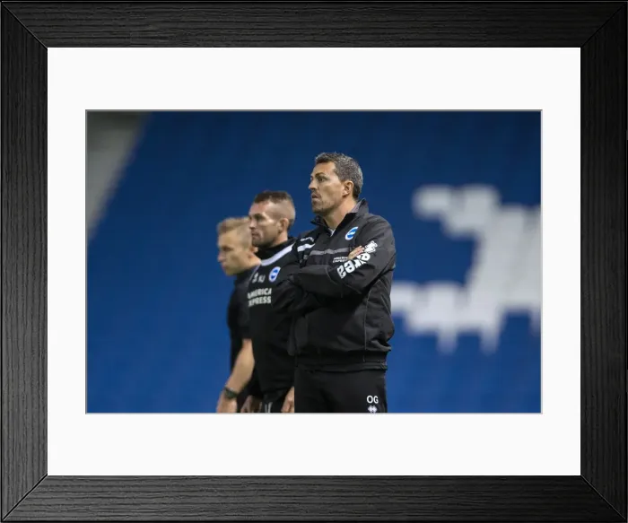 Framed Print : Brighton & Hove Albion vs Norwich City: Kickstarting the 2013-14 Season - Pre-season Clash (30-07-2013) Framed Print : Brighton & Hove Albion vs Norwich City: Kickstarting the 2013-14 Season - Pre-season Clash (30-07-2013)