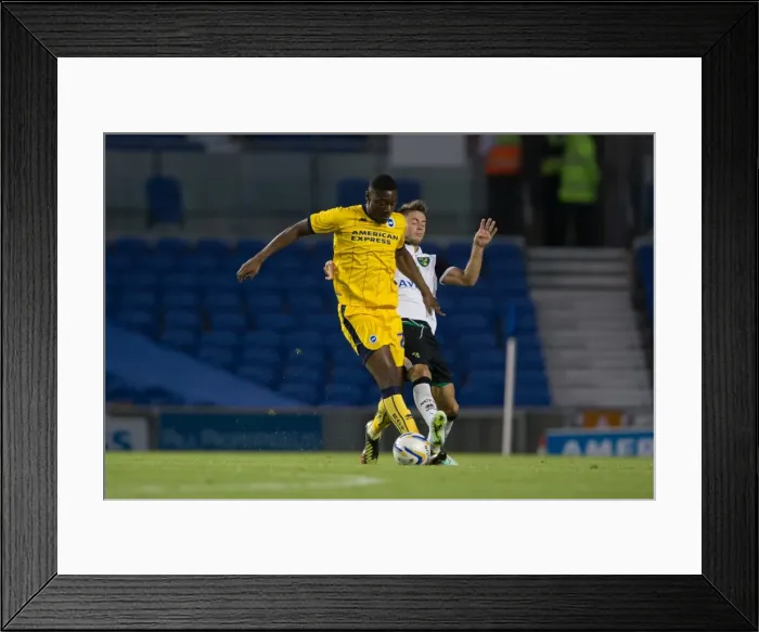 Framed Print : Brighton & Hove Albion vs Norwich City: Kickoff to the 2013-14 Season - Pre-Season Clash Framed Print : Brighton & Hove Albion vs Norwich City: Kickoff to the 2013-14 Season - Pre-Season Clash