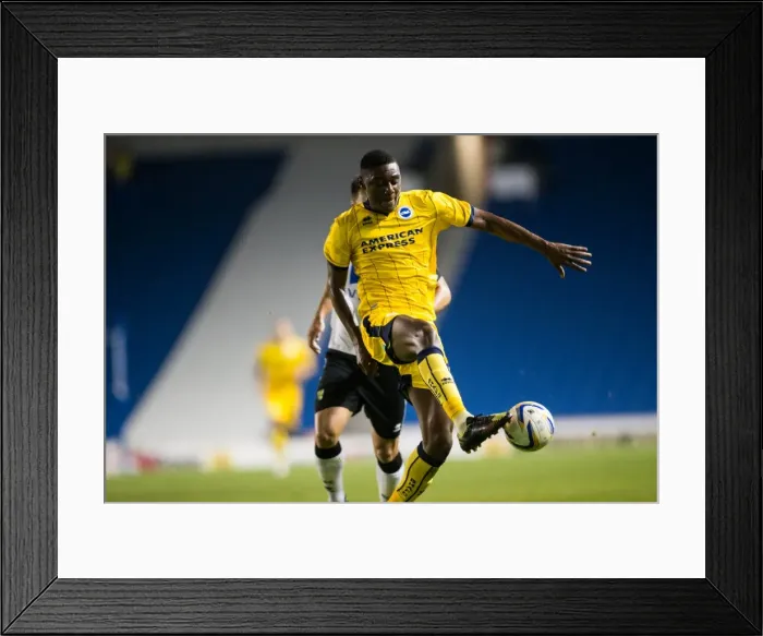 Framed Print : Brighton & Hove Albion vs Norwich City: 2013-14 Pre-Season Clash Framed Print : Brighton & Hove Albion vs Norwich City: 2013-14 Pre-Season Clash
