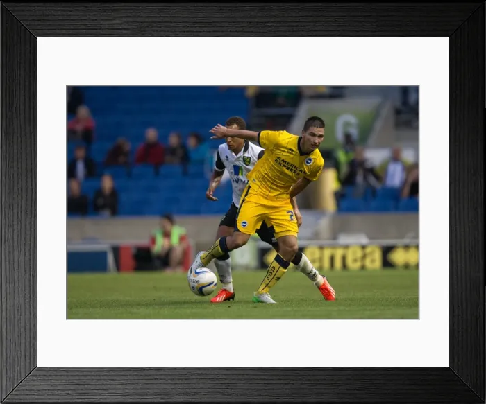 Framed Print : Brighton & Hove Albion vs Norwich City: Kickstarting the 2013-14 Season - Pre-season Clash (30-07-2013) Framed Print : Brighton & Hove Albion vs Norwich City: Kickstarting the 2013-14 Season - Pre-season Clash (30-07-2013)