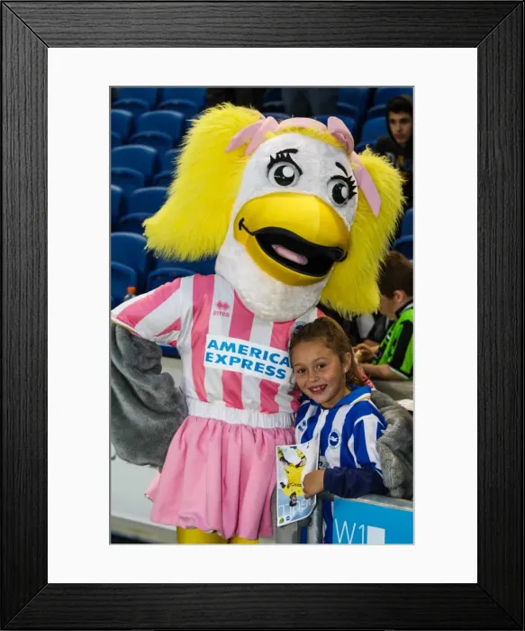 Framed Print : Brighton & Hove Albion vs Norwich City: Kickoff to the 2013-14 Season - Pre-Season Clash (July 30, 2013) Framed Print : Brighton & Hove Albion vs Norwich City: Kickoff to the 2013-14 Season - Pre-Season Clash (July 30, 2013)
