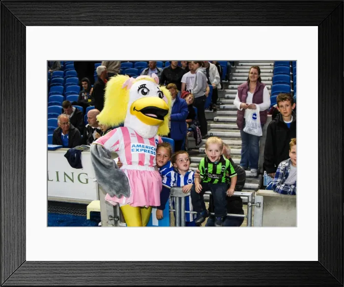 Framed Print : Brighton & Hove Albion vs Norwich City: 2013 Pre-Season Clash - Kickoff to the 2013-14 Campaign Framed Print : Brighton & Hove Albion vs Norwich City: 2013 Pre-Season Clash - Kickoff to the 2013-14 Campaign