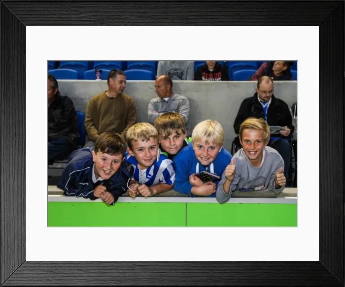 Framed Print : Brighton & Hove Albion vs Norwich City: 2013-14 Pre-Season Clash Framed Print : Brighton & Hove Albion vs Norwich City: 2013-14 Pre-Season Clash