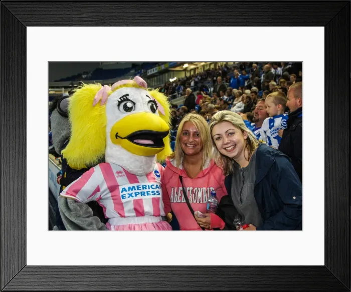 Framed Print : Brighton & Hove Albion vs Norwich City: 2013-14 Pre-Season Clash Framed Print : Brighton & Hove Albion vs Norwich City: 2013-14 Pre-Season Clash