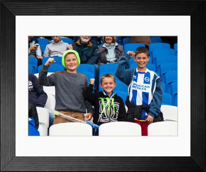 Framed Print : Brighton & Hove Albion vs Norwich City: 2013-14 Pre-Season Clash Framed Print : Brighton & Hove Albion vs Norwich City: 2013-14 Pre-Season Clash