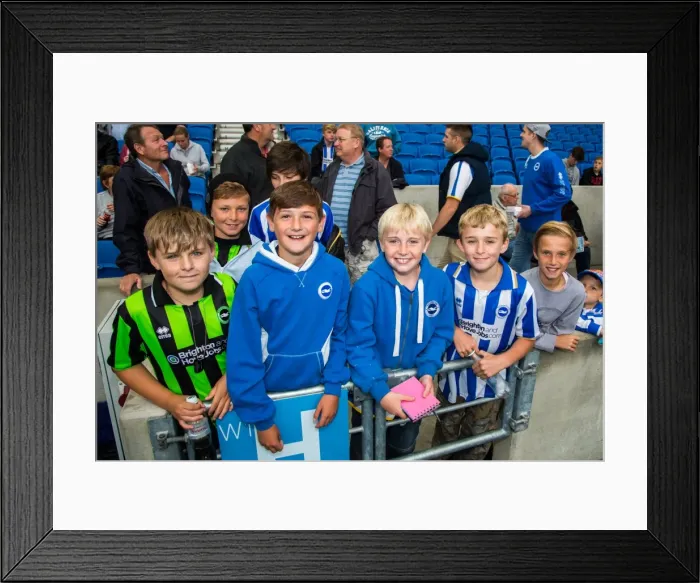 Framed Print : Brighton & Hove Albion vs Norwich City: Kick-Off to the 2013-14 Season Pre-Season Clash Framed Print : Brighton & Hove Albion vs Norwich City: Kick-Off to the 2013-14 Season Pre-Season Clash
