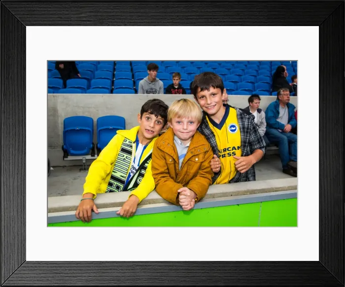 Framed Print : Brighton & Hove Albion vs Norwich City: Kickoff to the 2013-14 Season - Pre-Season Clash Framed Print : Brighton & Hove Albion vs Norwich City: Kickoff to the 2013-14 Season - Pre-Season Clash