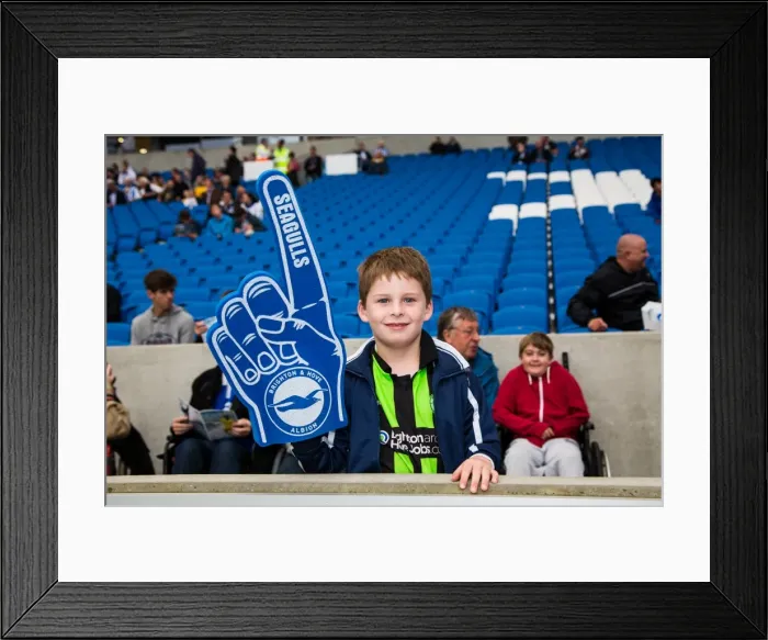 Framed Print : Brighton & Hove Albion vs Norwich City: Kickstarting the 2013-14 Season - Pre-Season Clash Framed Print : Brighton & Hove Albion vs Norwich City: Kickstarting the 2013-14 Season - Pre-Season Clash