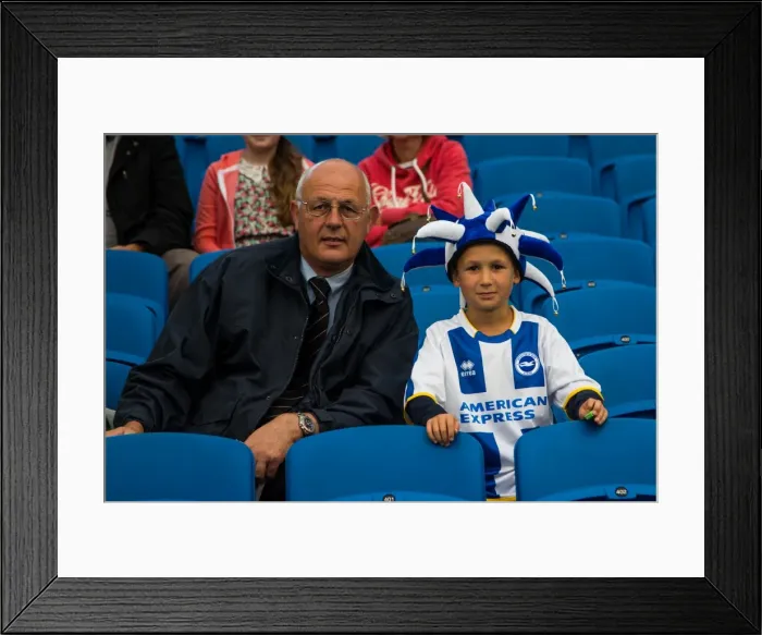 Framed Print : Brighton & Hove Albion vs Norwich City: Kick-Off to the 2013-14 Season Framed Print : Brighton & Hove Albion vs Norwich City: Kick-Off to the 2013-14 Season