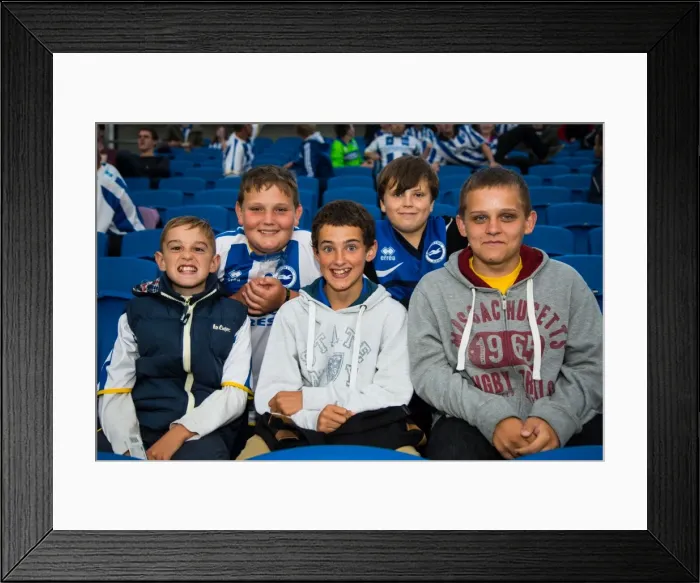 Framed Print : Brighton & Hove Albion vs Norwich City: 2013 - Kickoff to the 2013-14 Season Framed Print : Brighton & Hove Albion vs Norwich City: 2013 - Kickoff to the 2013-14 Season