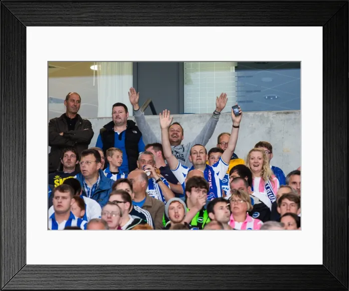 Framed Print : Brighton & Hove Albion vs Norwich City: Kicking Off the 2013-14 Season - Pre-Season Clash Framed Print : Brighton & Hove Albion vs Norwich City: Kicking Off the 2013-14 Season - Pre-Season Clash