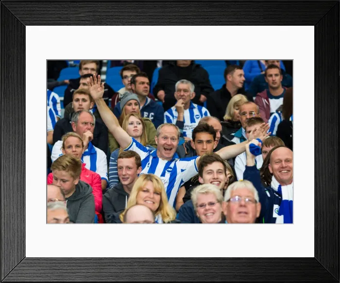 Framed Print : Brighton & Hove Albion vs Norwich City: Kickoff to the 2013-14 Season - Pre-Season Clash (July 30, 2013) Framed Print : Brighton & Hove Albion vs Norwich City: Kickoff to the 2013-14 Season - Pre-Season Clash (July 30, 2013)