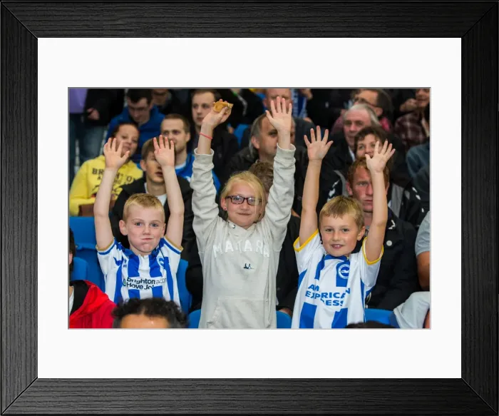 Framed Print : Brighton & Hove Albion vs Norwich City: Kickstarting the 2013-14 Season - Pre-season Clash Framed Print : Brighton & Hove Albion vs Norwich City: Kickstarting the 2013-14 Season - Pre-season Clash