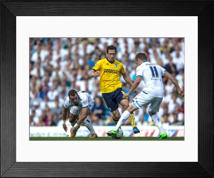Framed Print : Leeds United vs. Brighton & Hove Albion: 2013-14 Season Away Game Framed Print : Leeds United vs. Brighton & Hove Albion: 2013-14 Season Away Game
