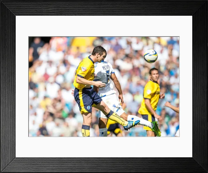 Framed Print : Brighton & Hove Albion vs. Leeds United: 2013-14 Away Game Framed Print : Brighton & Hove Albion vs. Leeds United: 2013-14 Away Game