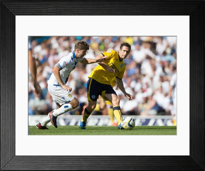 Framed Print : Brighton & Hove Albion vs. Leeds United: Away Game (August 3, 2013) Framed Print : Brighton & Hove Albion vs. Leeds United: Away Game (August 3, 2013)