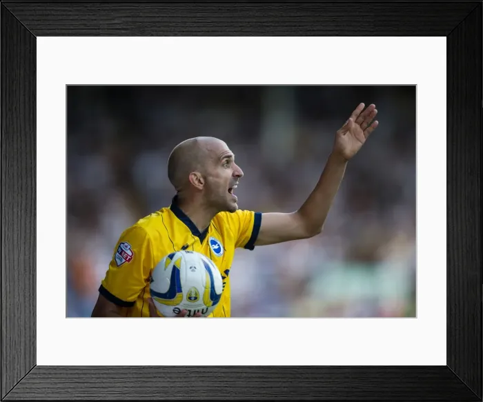 Framed Print : Bruno Saltor Framed Print : Bruno Saltor