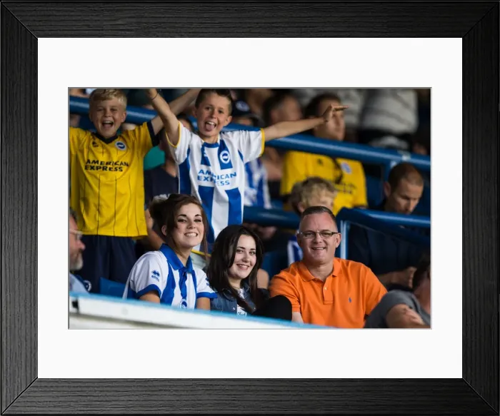 Framed Print : Brighton & Hove Albion vs. Leeds United: 2013-14 Away Game Framed Print : Brighton & Hove Albion vs. Leeds United: 2013-14 Away Game