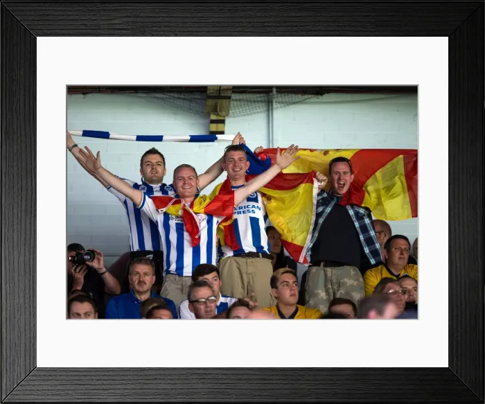 Framed Print : Brighton & Hove Albion vs. Leeds United: 2013-14 Away Game Framed Print : Brighton & Hove Albion vs. Leeds United: 2013-14 Away Game