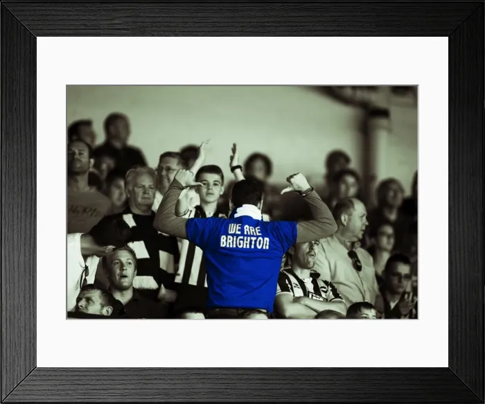 Framed Print : Brighton & Hove Albion vs. Leeds United: Away Game (August 3, 2013) Framed Print : Brighton & Hove Albion vs. Leeds United: Away Game (August 3, 2013)