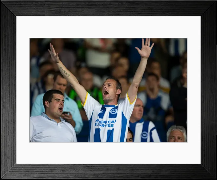 Framed Print : Brighton & Hove Albion vs. Leeds United: 2013-14 Away Game Framed Print : Brighton & Hove Albion vs. Leeds United: 2013-14 Away Game