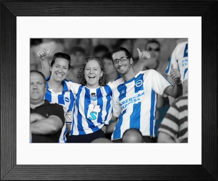Framed Print : Brighton & Hove Albion vs. Leeds United: 2013-14 Away Game Framed Print : Brighton & Hove Albion vs. Leeds United: 2013-14 Away Game