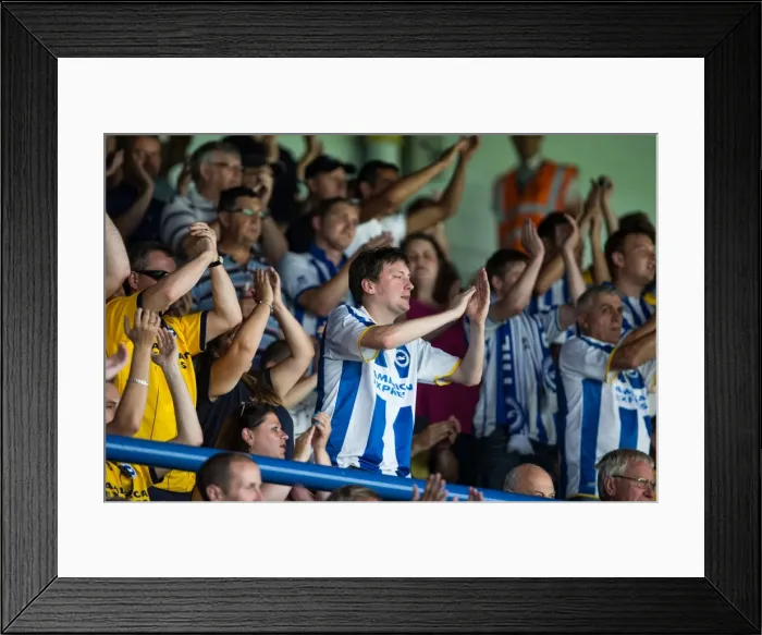 Framed Print : Leeds United vs. Brighton & Hove Albion: 2013-14 Season Away Game Framed Print : Leeds United vs. Brighton & Hove Albion: 2013-14 Season Away Game