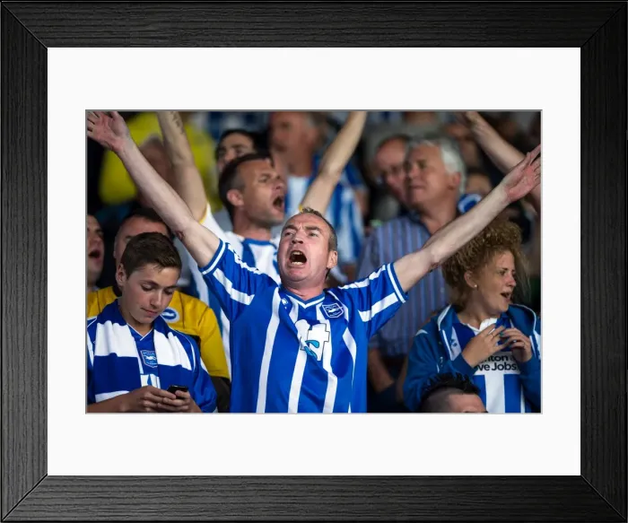 Framed Print : Brighton & Hove Albion vs. Leeds United: 2013-14 Season Away Game (03-08-2013) Framed Print : Brighton & Hove Albion vs. Leeds United: 2013-14 Season Away Game (03-08-2013)
