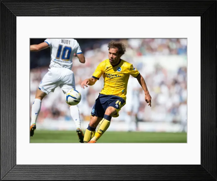 Framed Print : Leeds United vs. Brighton & Hove Albion: 2013-14 Season Away Game Framed Print : Leeds United vs. Brighton & Hove Albion: 2013-14 Season Away Game
