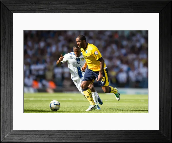 Framed Print : Brighton & Hove Albion vs. Leeds United: 2013-14 Away Game Framed Print : Brighton & Hove Albion vs. Leeds United: 2013-14 Away Game